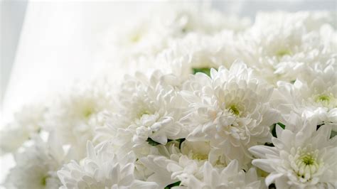 Choosing your funeral tribute – shirleysnellsflorist