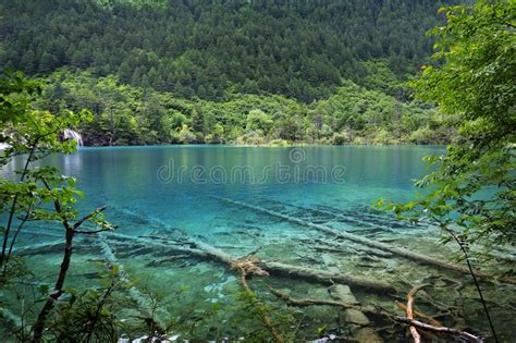 Lake In Jiuzhaigou National Park Sichuan China Stock Image Image Of