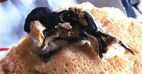 A Woman Suing Chick Fil A Claims A Rodent Was Baked Into Her Bun Huffpost