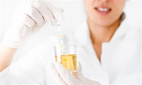 Drug Testing In A Changing Regulatory Landscape Paychex