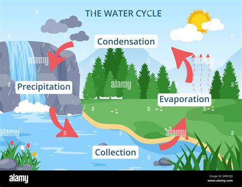 The Water Cycle Precipitation Condensation And Evaporation Video My