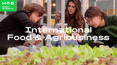 Bachelor International Food And Agribusiness
