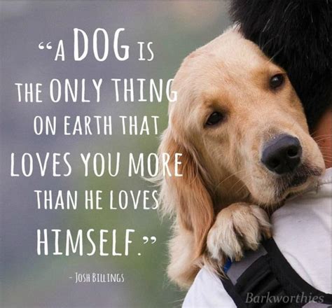 Https://tommynaija.com/quote/the Love Of A Dog Quote