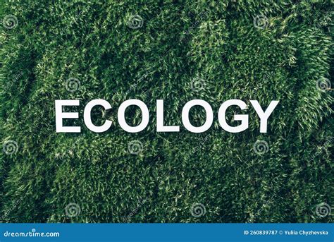 Word Ecology On Moss Green Grass Background Top View Copy Space