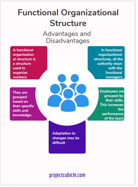 6 Most Common Types Of Organizational Structures Pros