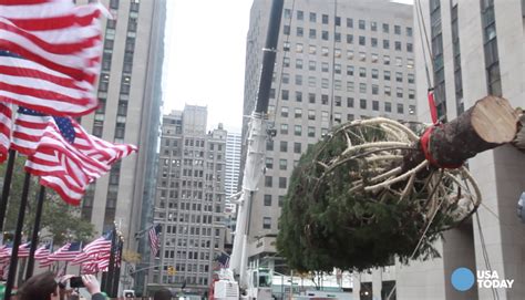 Rockefeller Center Christmas Tree Arrives For The Holiday Season