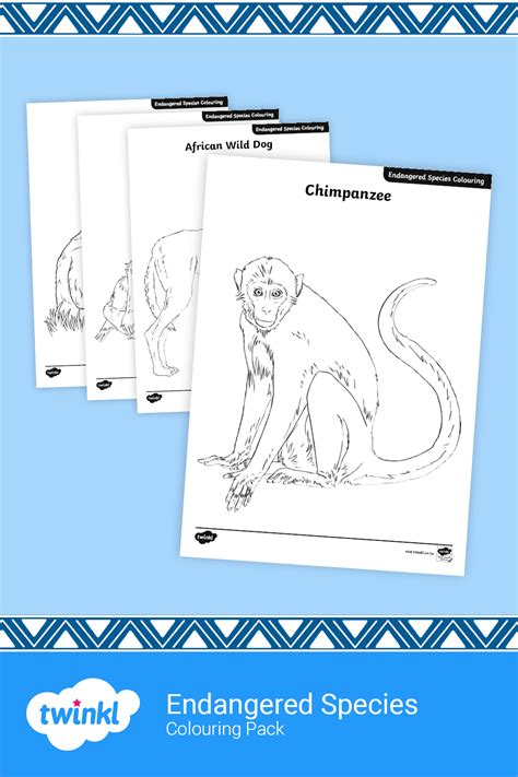 Endangered Animals Colouring Pages Endangered Species Endangered