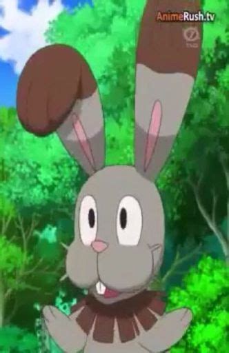Bunnelby Anime Wiki Pokémon Amino