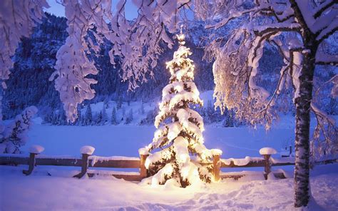 Christmas Snow Wallpapers 74 Background Pictures
