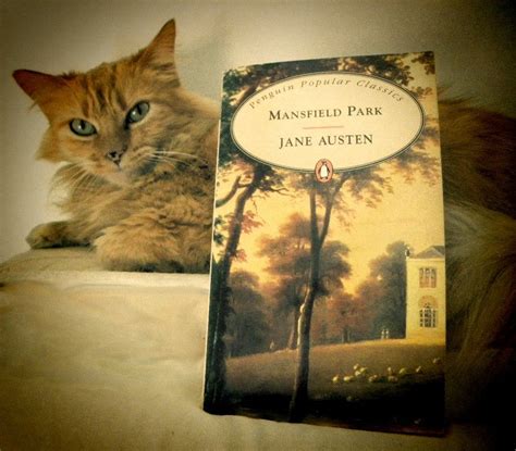 Austen And Feline Jane Austen Vintage Penguin I Love Books
