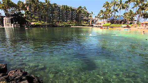 The Lagoon At Hilton Waikoloa Village Youtube