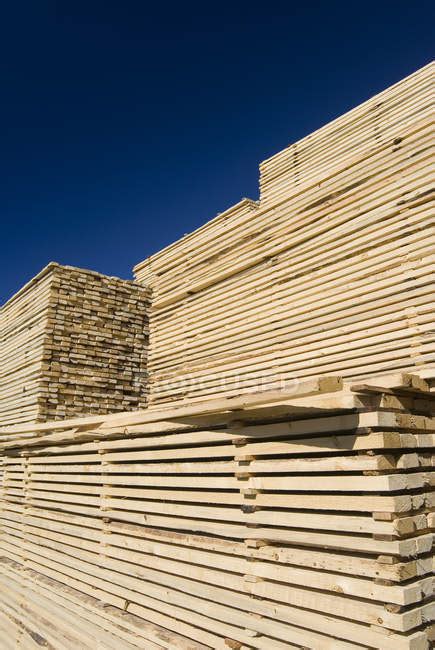 Stacked Wood Drying In Lumber Yard Of Lumber Mill — Boards Processes