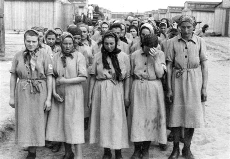 ‘las 999 mujeres de auschwitz un libro da voz a las mujeres silenciadas en el holocausto