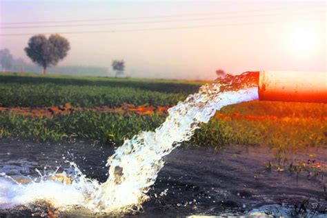 Farmers Learn New Methods To Conserve Water The Tribune India