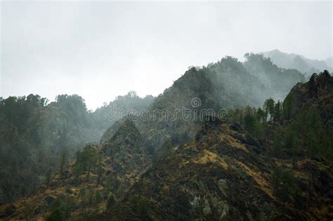 Foggy Morning In Himalayas Mountains Stock Photo Image Of Mahogany