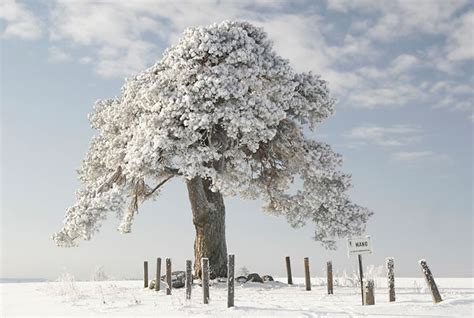 Amazing Photography 10 Beautiful Winter Scenes