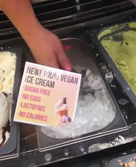 Memes That Will Put A Smile On Your Face Vegan Ice Cream Lactofree Cream And Sugar