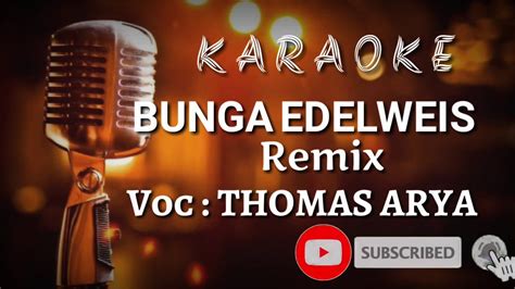 Bunga berwarna putih ini termasuk dalam keluarga. BUNGA EDELWEIS (THOMAS ARYA) REMIX karaoke lirik full ...