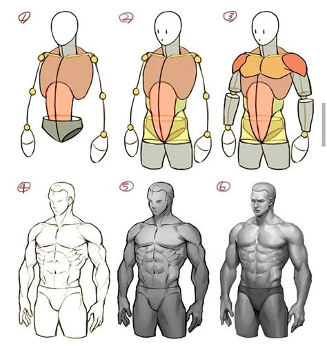 Male Body Drawing Guide Drawing Anatomy Sketches Male Body Drawings