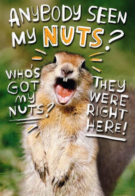 4.9 out of 5 stars 47. Go Nuts Funny 50th Birthday Card - Greeting Cards - Hallmark