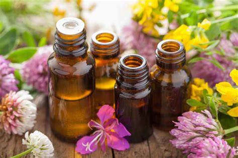 Treating Lyme Disease With Essential Oils Dr Evan Fj Murao