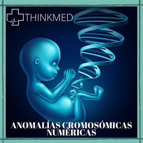 Anomalias Cromosomicas Numericas Udocz