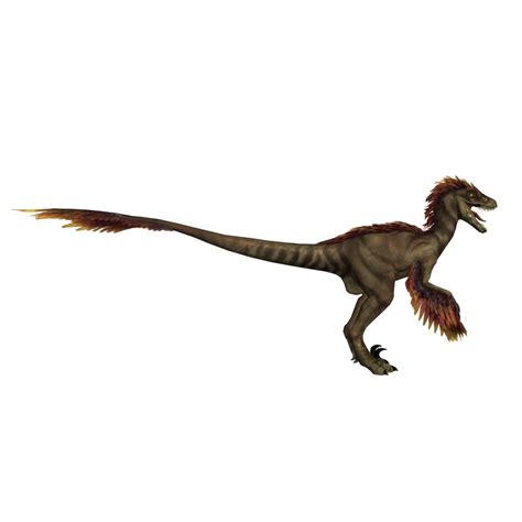 Feathered Raptor Rigged 3d Model In Dinosaur 3dexport