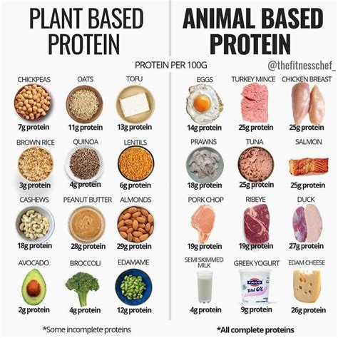 Vegan Protein Sources High Protein Vegan Foods Print Plant Based