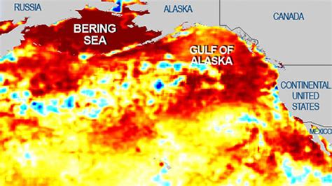 Pacific Ocean Blob Inching Closer To California Noaa Nbc Bay Area