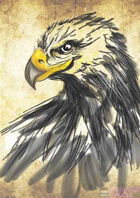 磊 Dibujos De águilas 250 Lindos Y Faciles Dibujos Para Colorear