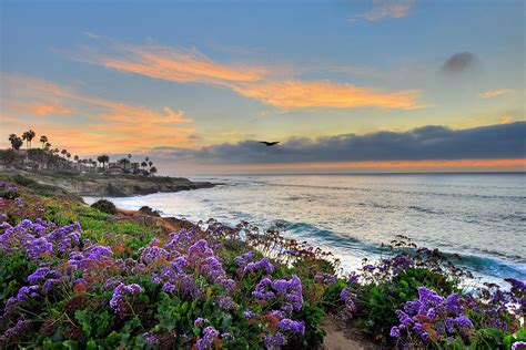 Flowers By The Ocean Photograph By Mark Whitt Pixels