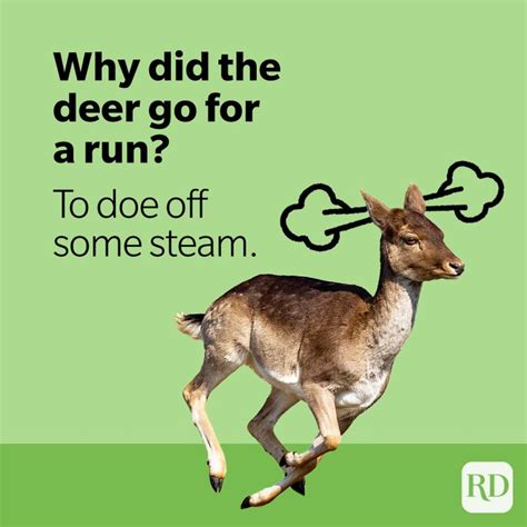 50 Deer Puns That Make The Heart Grow Fawnder Funny Deer Jokes