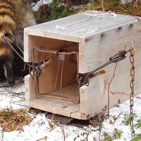 How To Trap Fur Animals With Images Hunting Traps Turkey Hunting