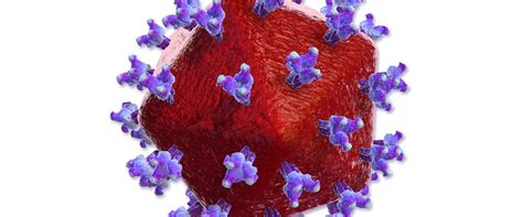 Hiv Human Immunodeficiency Virus Africa Cdc