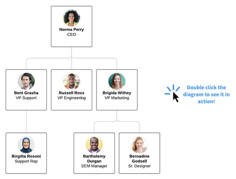Org Chart Examples And Templates Lucidchart A Visual Reference Of