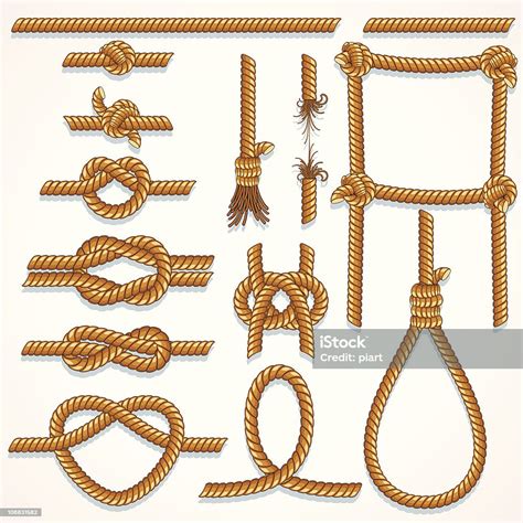 A Collection Of Drawings Of Various Ropes And Knots Stock Vector Art