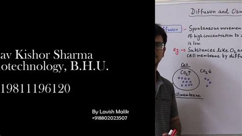 Cell Topic Diffusion And Osmosis Youtube