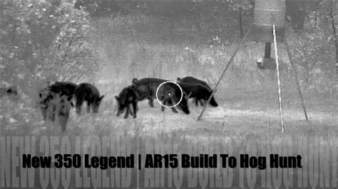 New 350 Legend Ar15 Build To Hog Hunt Youtube