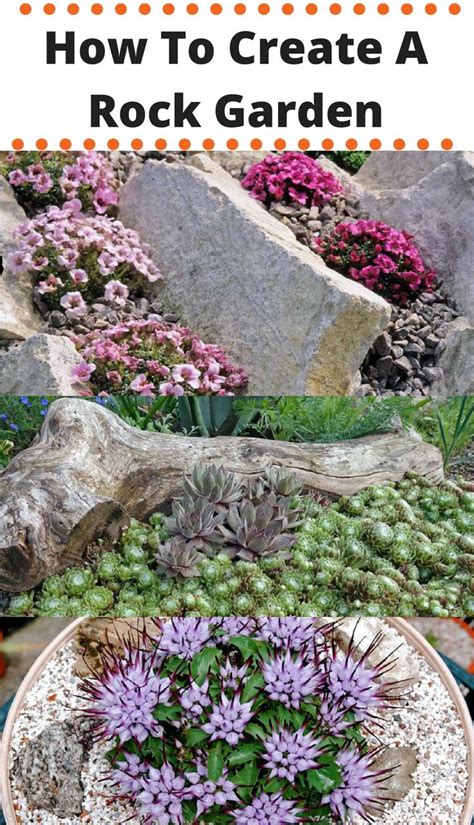 Floral design can be just as important as picking out. How to create a rock garden: types, how to, and what ...