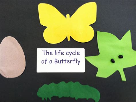 Butterfly Life Cycle Activity For Preschoolers