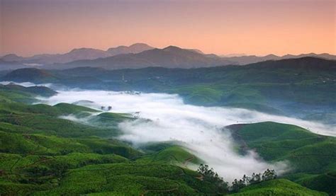 Best Time To Visit Munnar Kerala Tourism Blog