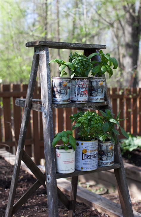 Recycled Herb Planters And An Upcycled Wooden Ladder