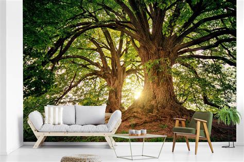 Large Trees Wall Mural Print Peel And Stick Self Adhesive Etsy