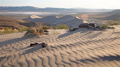 Sand Mountain Nevada Discover Sand Mountain Recreation Area