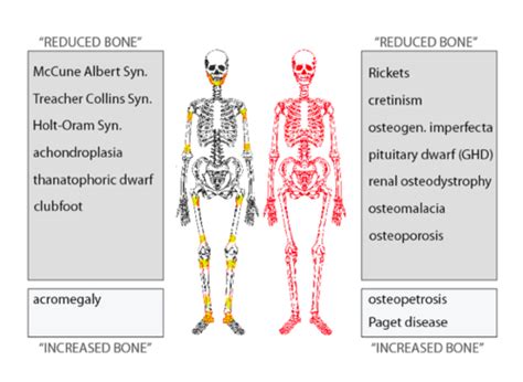 Orthopedic Development Pathology Flashcards Quizlet