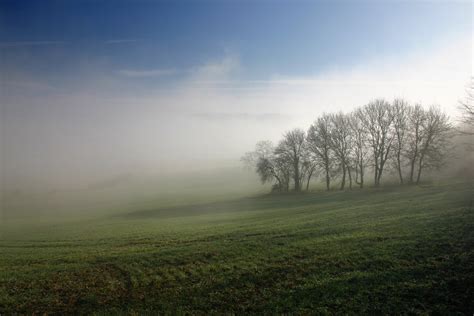 Misty Morning 2 Free Photo Download Freeimages