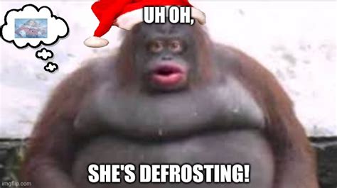 Defrost Memes And S Imgflip