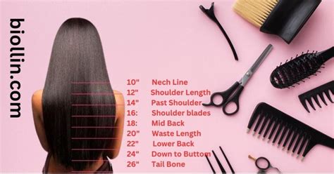 Tracking Your Hair Length Chart And Growth By Bio Llin Aug 2023