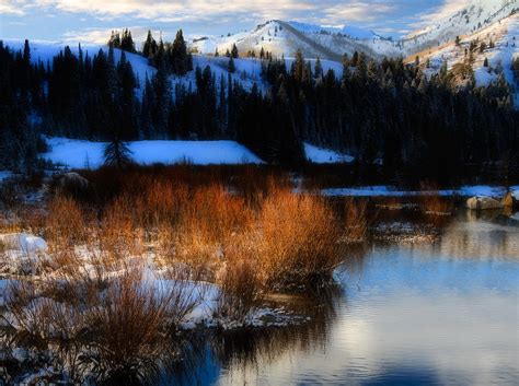 Winter In The Wasatch Mountains Of Northern Utah Photograph By Douglas