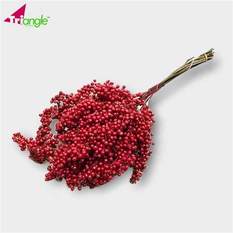 Red Schinus Molle Pepperberries Wholesale Dutch Flowers And Florist Supplies Uk